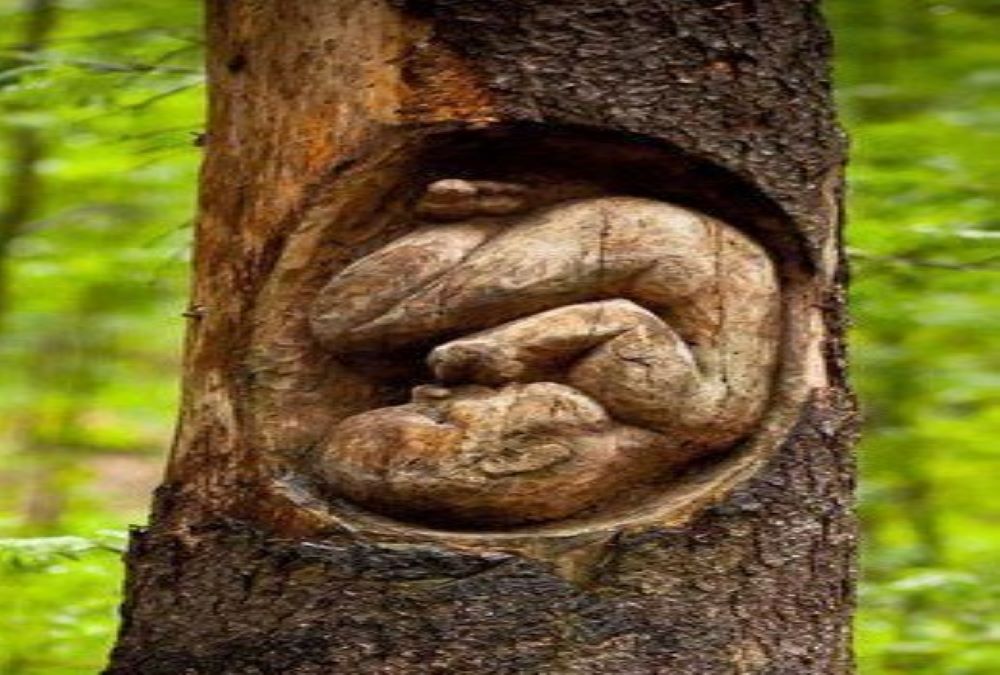 प्रतीकात्मक तस्वीर (साभार)